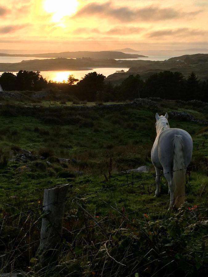 Seafield House B&B Clifden Eksteriør bilde